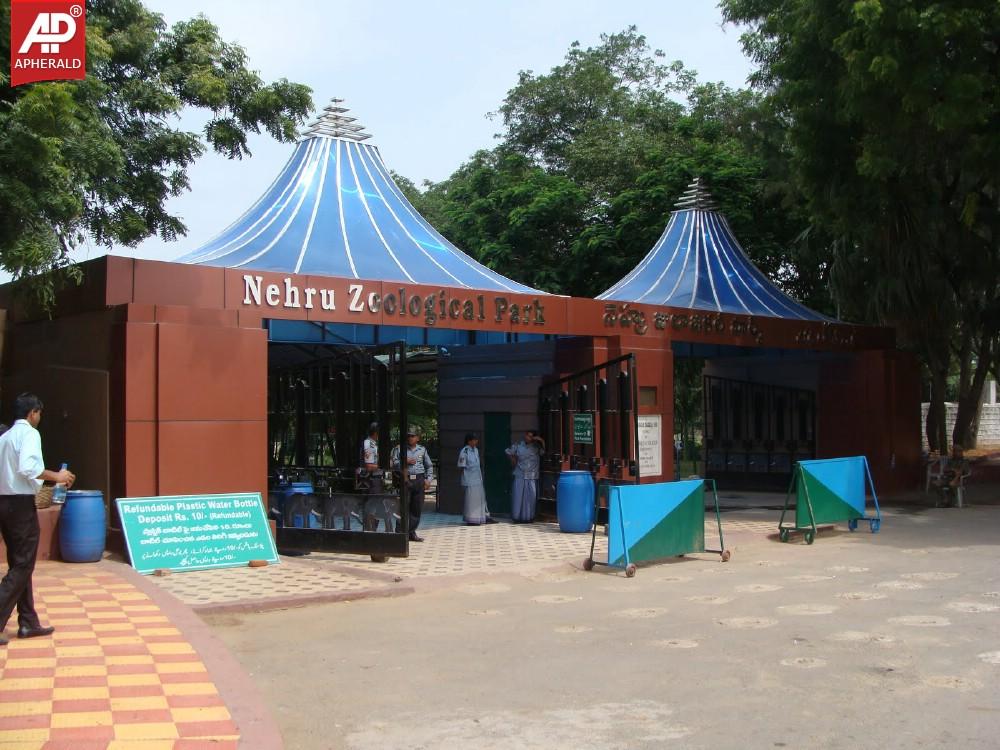 Nehru Zoological Park in Hyderabad Photos