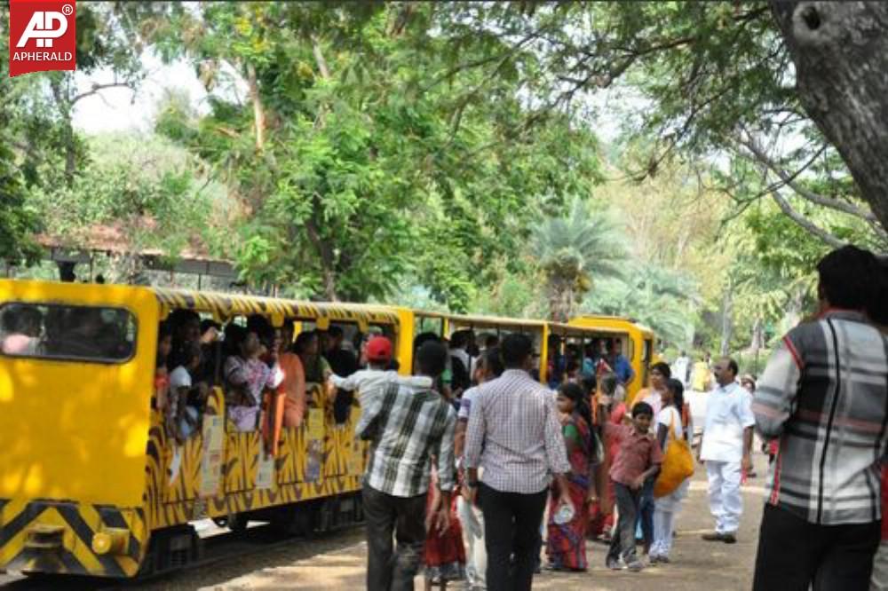 Nehru Zoological Park in Hyderabad Photos