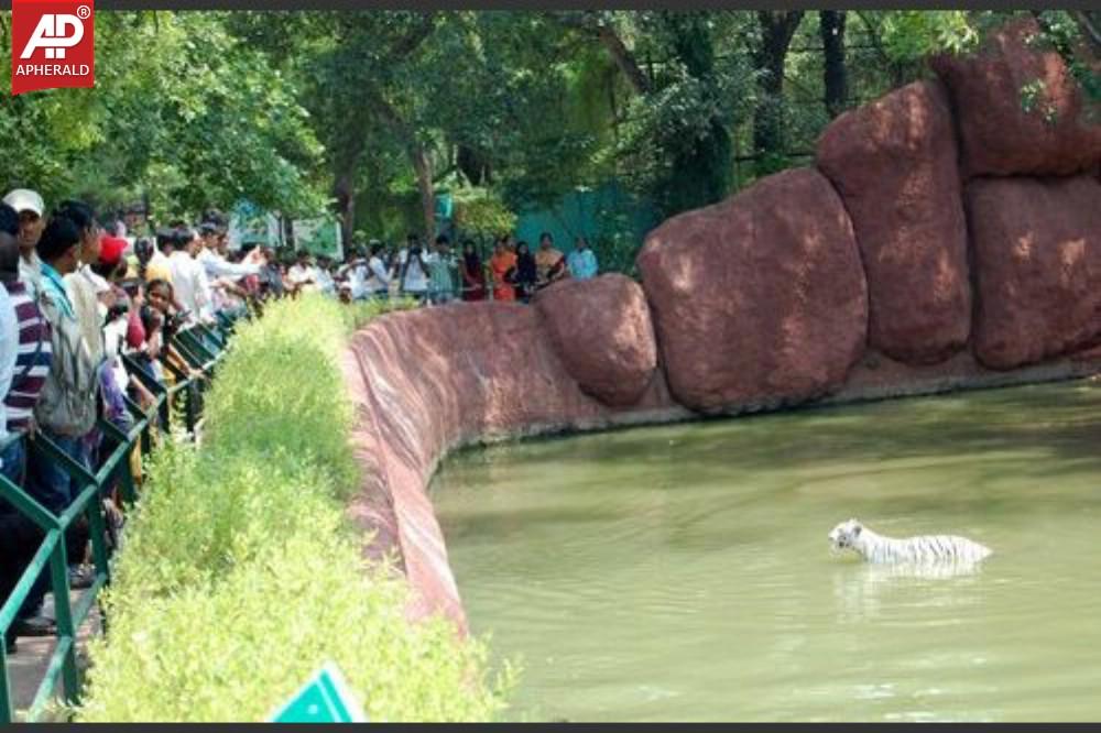 Nehru Zoological Park in Hyderabad Photos