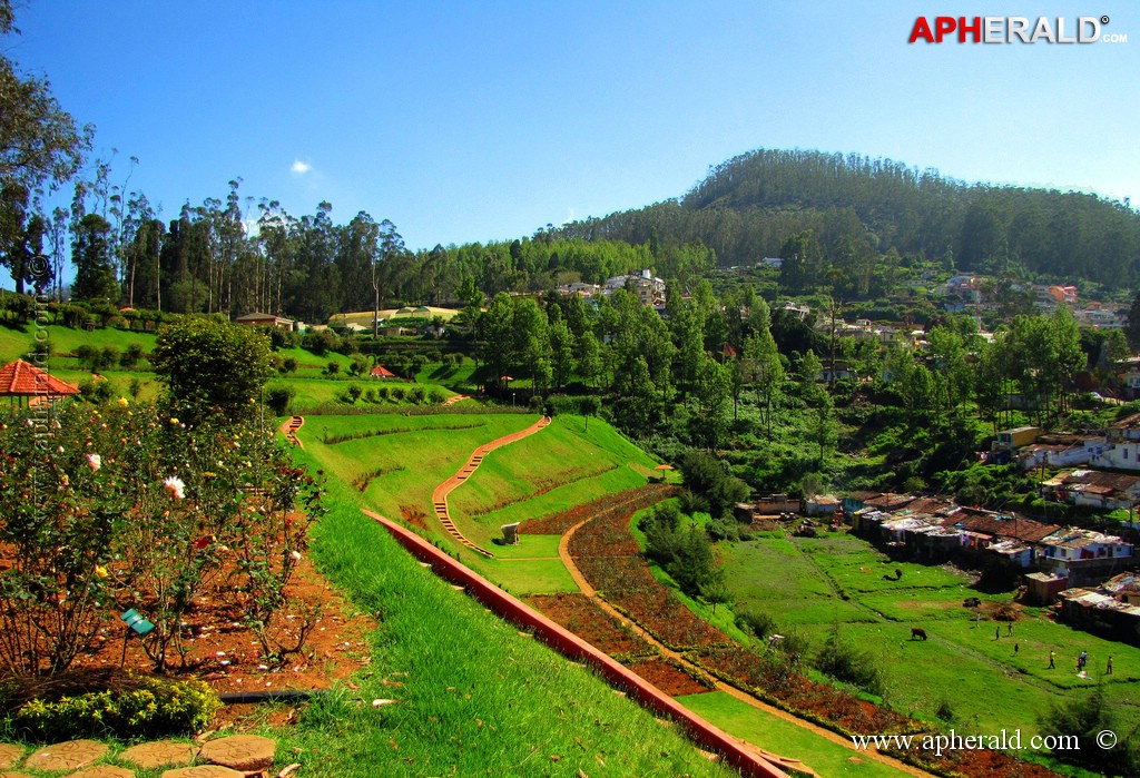 Ooty Beautiful Photos