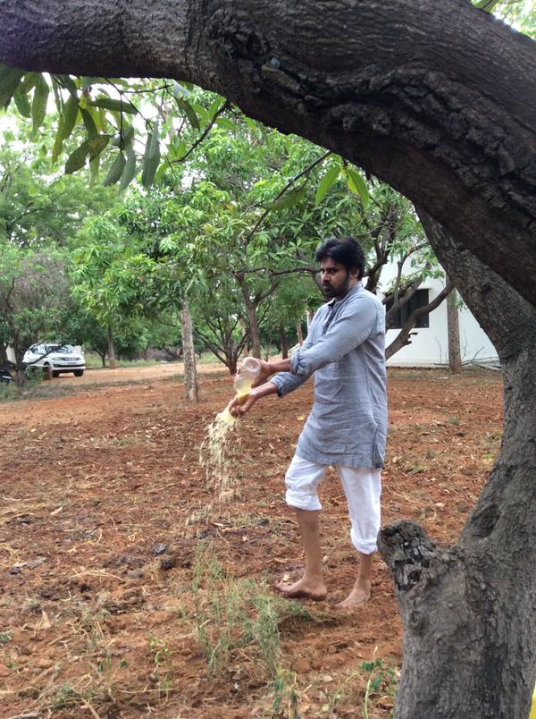 Pawan Kalyan at His Farm House Photos