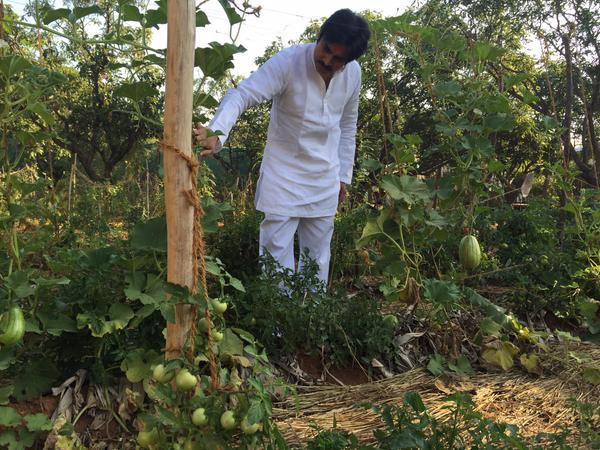 Pawan Kalyan at His Farm House Photos