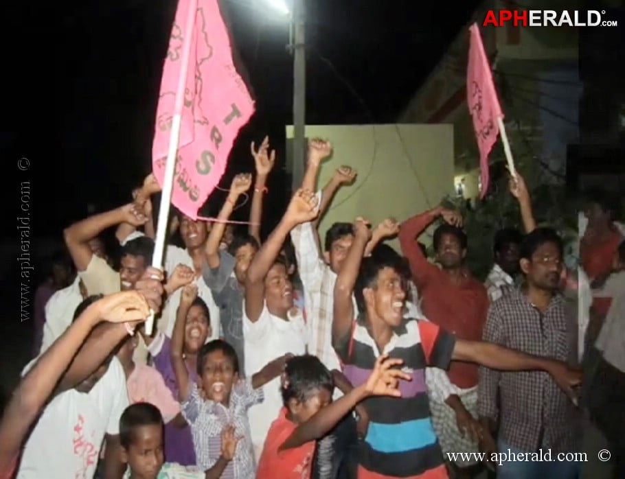 Telangana Celebrations Photos