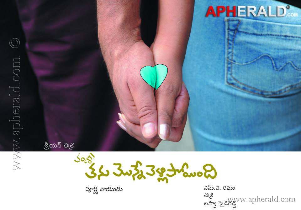 Vamsi's Thanu Monne Vellipoyindi Movie Posters