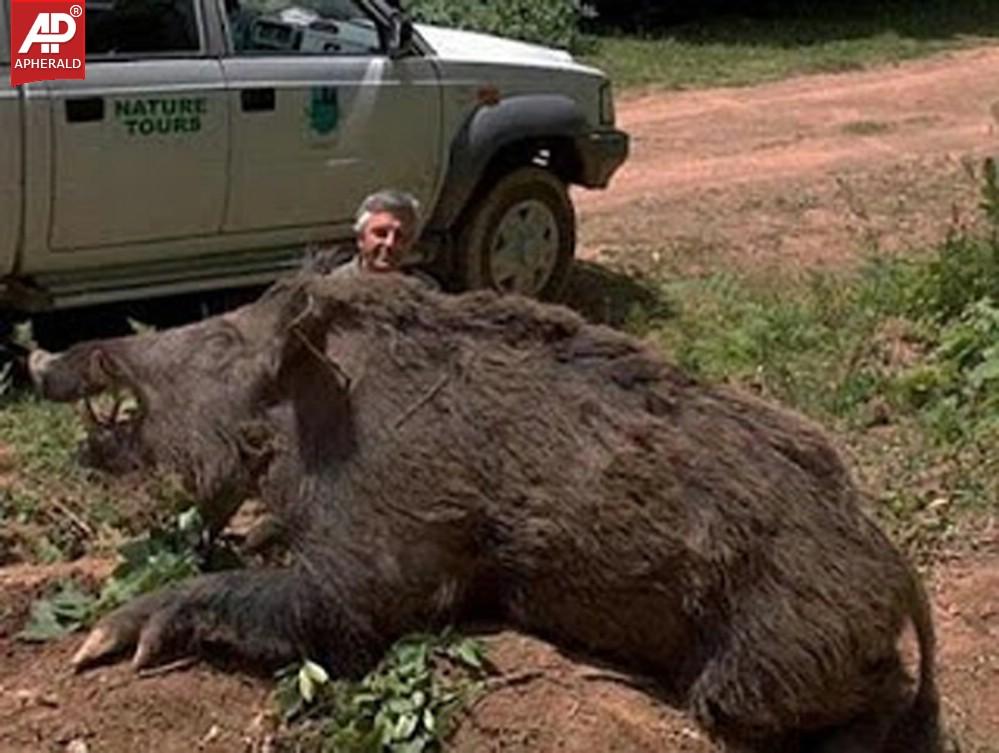 World's Largest Animals Photos