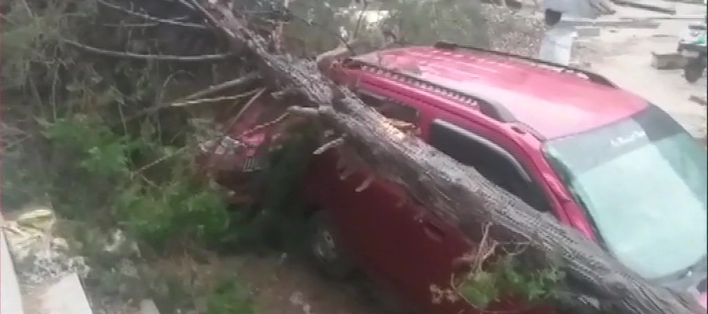 Tree Fell On Unoccupied Cars Due To A Storm In Uttarakhand