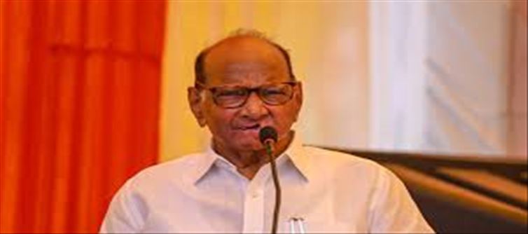 Will Sharad Pawar win this election?