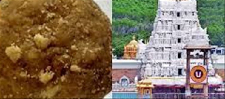 Adulteration in Tirupati's laddus is a violation of Hindu faith...