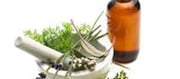 Herbs, Oils, and Beyond: Natural Remedies for Everyday Ailments!