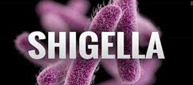 How Is Shigella Treated, And How May It Be Avoided?