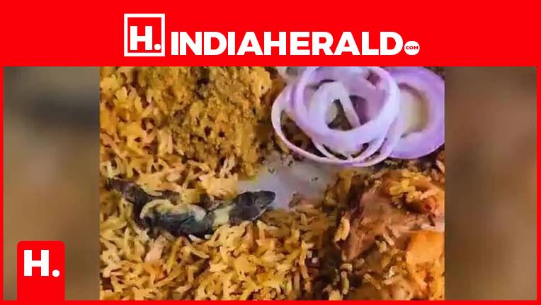 VIDEO - Lizard in biryani puts restaurant in Telangana Hyde