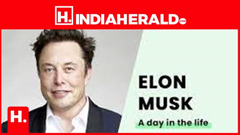 what-is-the-daily-routine-of-successful-elon