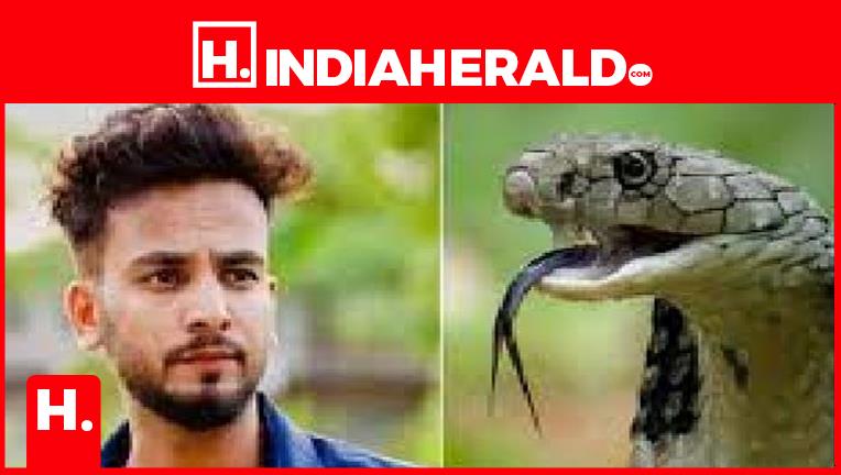 Big update in Elvish Yadav case, 20ml snake venom found