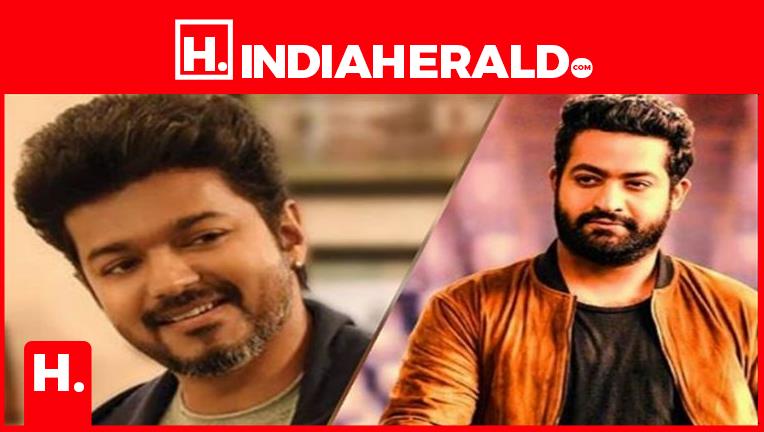 Junior NTR talks about actor Vijay which is going viral?