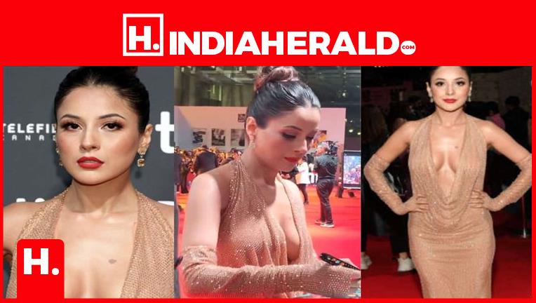 Netizens react to Shehnaaz Gill's strappy backless dress with