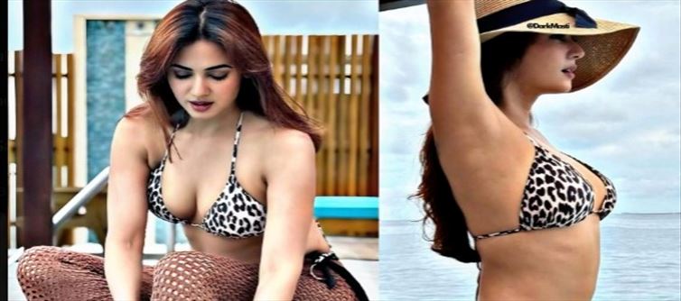 బికినీ సొగసులతో ఫర్ఫెక్ట్ లుక్ లో బాలయ్య బ్యూటీ..!