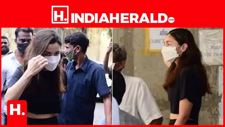 Alia Bhatt Reveals Her Actual Height, Redditors Dig Out Proof That She's  Lying And Brutally Slam Her