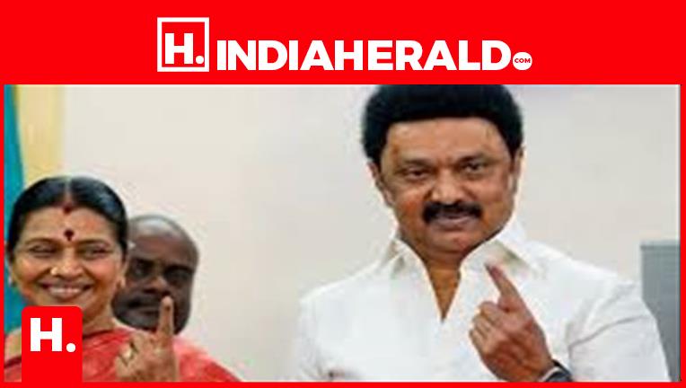 Lok Shaba Election 2024: From Tamil Nadu CM Stalin to Vijay