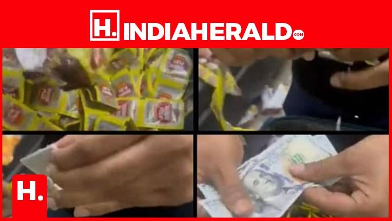 lakhs-of-rupees-were-hidden-in-gutkha-pouch